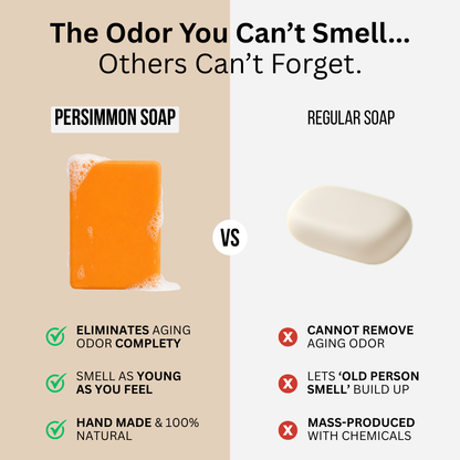 Toshi™ Deodorizing Japanese Persimmon Soap